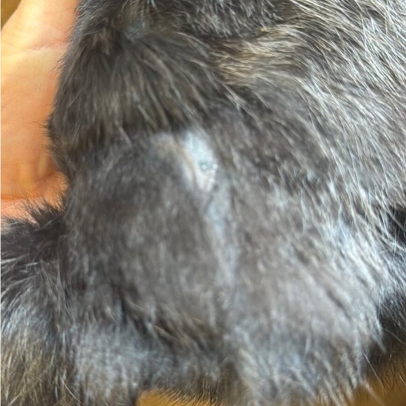 Real Fur Coat - Picture 9 of 9